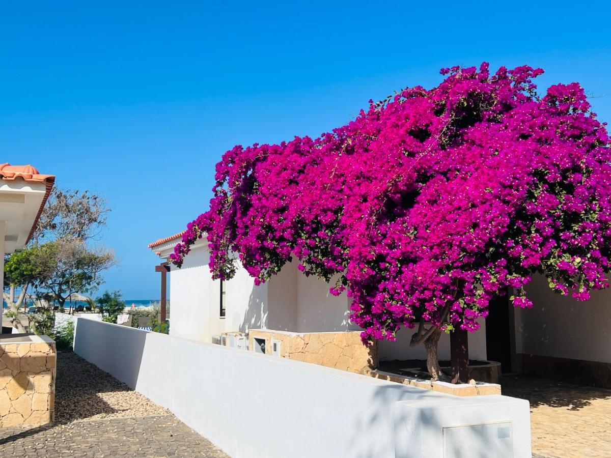 Villa With Privat Pool Near Beach Santa Maria Sal Kap Verde Exterior photo
